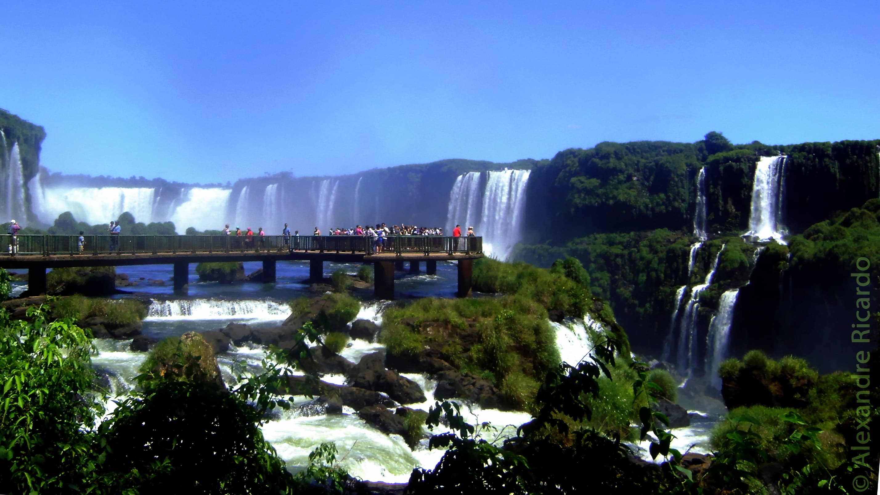 Foz do Iguaçu com Cataratas + Parque das Aves + Roda Gigante